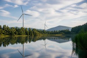 Actualités environnement : les grandes tendances et enjeux à suivre