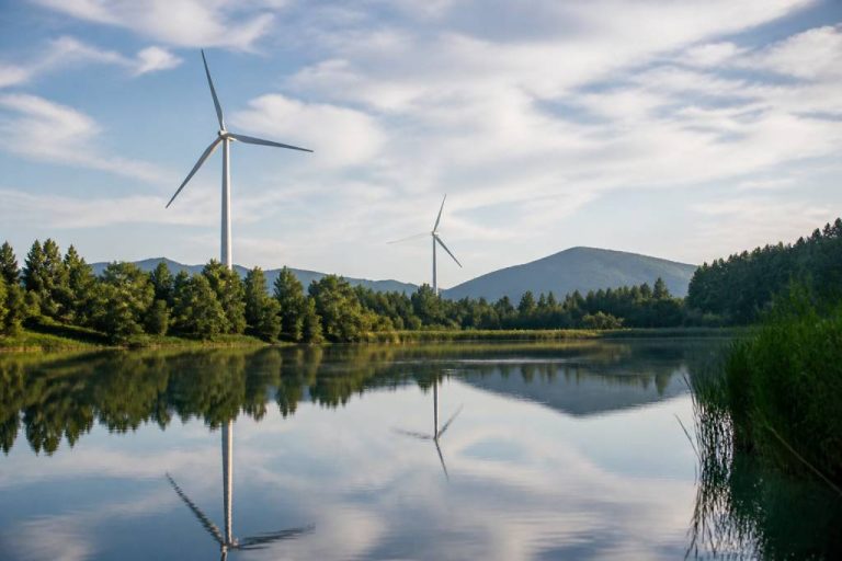 Actualités environnement : les grandes tendances et enjeux à suivre