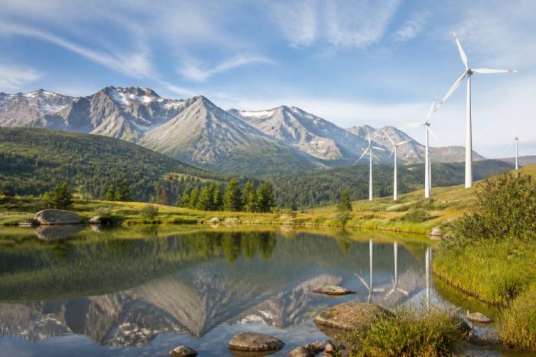 Actualités écologie : les tendances et enjeux environnementaux à suivre en 2026