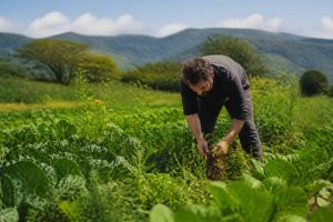 Biodynamique def : définition, principes et usages en agriculture durable