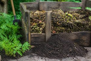 Définition compost : comprendre ce qu’est le compost et ses usages au jardin