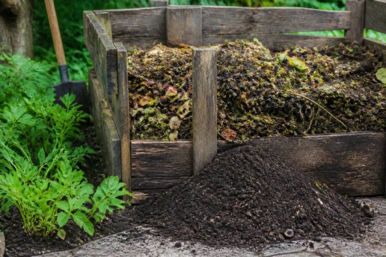 Définition compost : comprendre ce qu’est le compost et ses usages au jardin